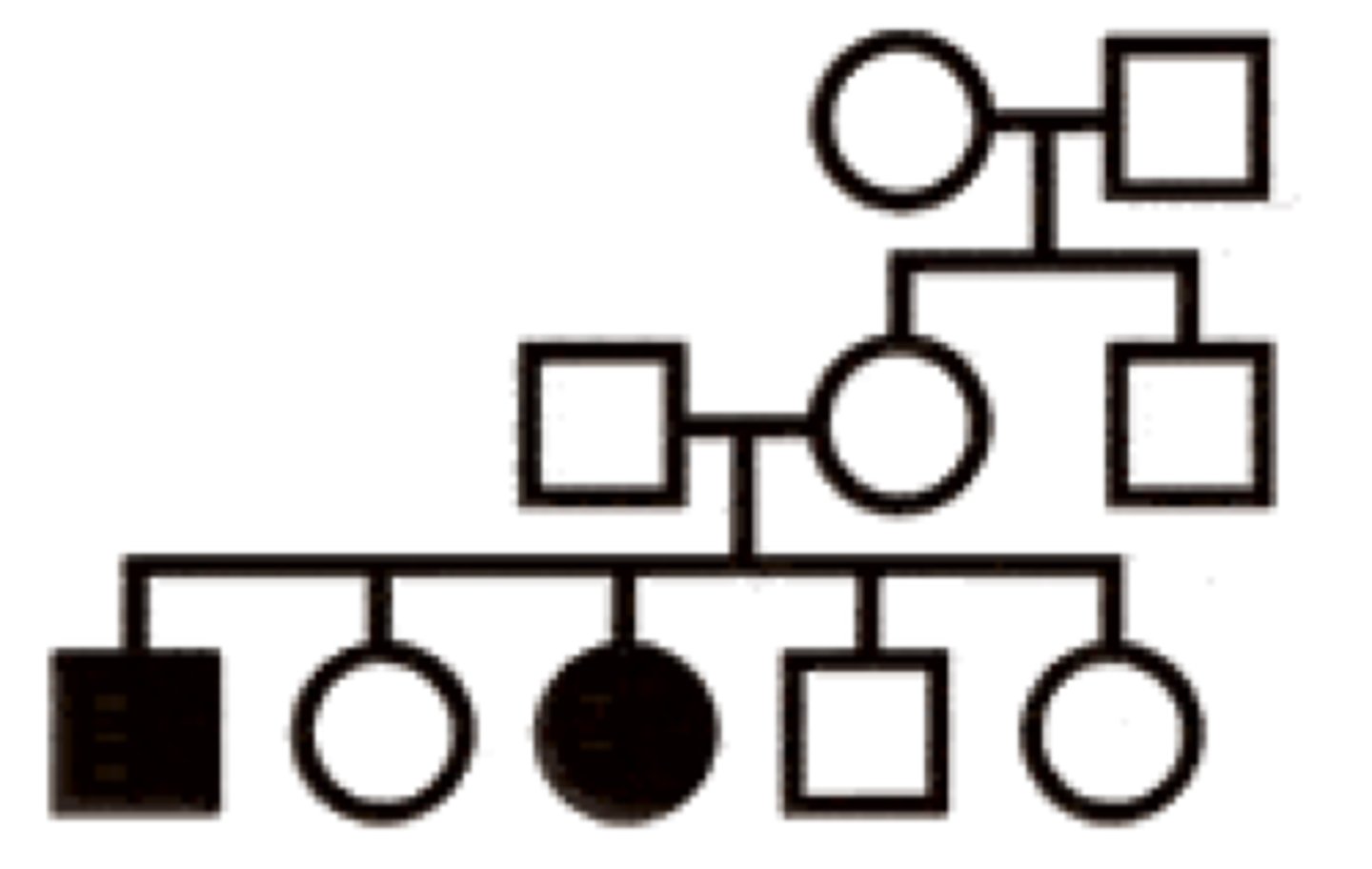 <p>The following pedigree shows an autosomal recessive disease. What is the likelihood that individual III-4 is a carrier of the mutant allele?</p>