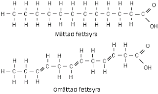 <p><span>De finns i både fast och flytande form, består av tre fettsyredelar(svansar) och en glycerol-del.</span><br><span>Finns omättade och mättade fetter, omättade innehåller en eller flera dubbelbindningar medan mättade bara innehåller enkelbindningar.</span><br><span>har främst tre uppgifter:</span><br><span>Används som energiupplagring</span><br><span>Isolerande mot kyla</span><br><span>Skyddar organen och fungerar som stötdämpare.</span></p>