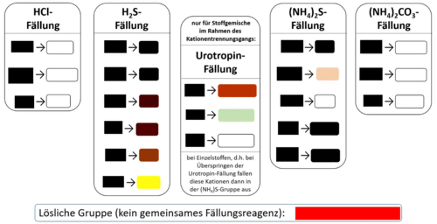 <p>Kein Niederschlag in allen Fällungen</p>