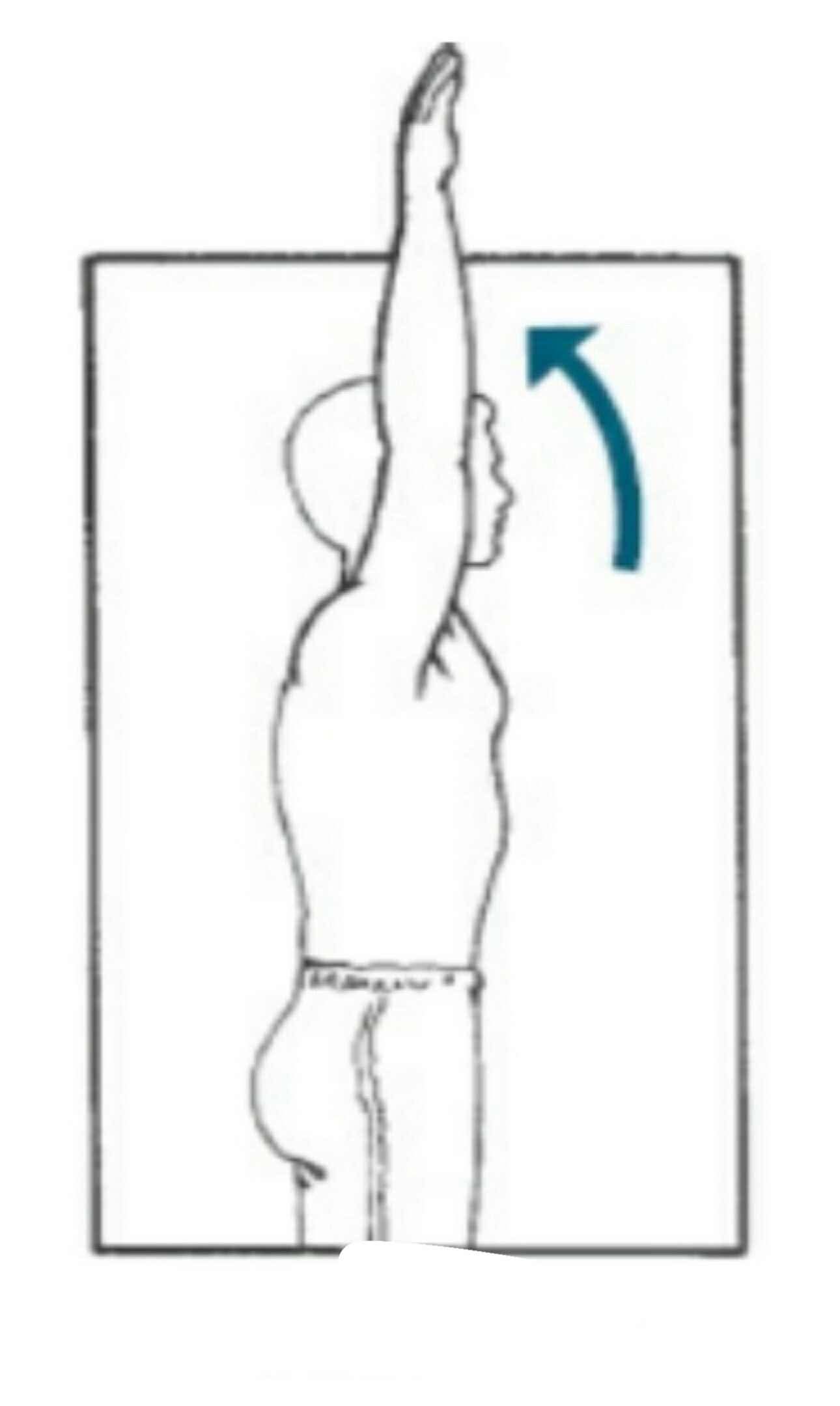 <p>What movement is this?</p>