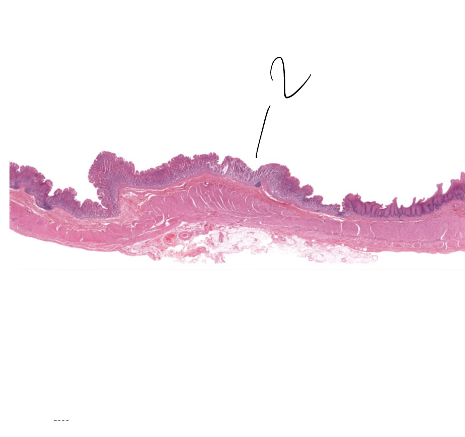 <p>2</p>