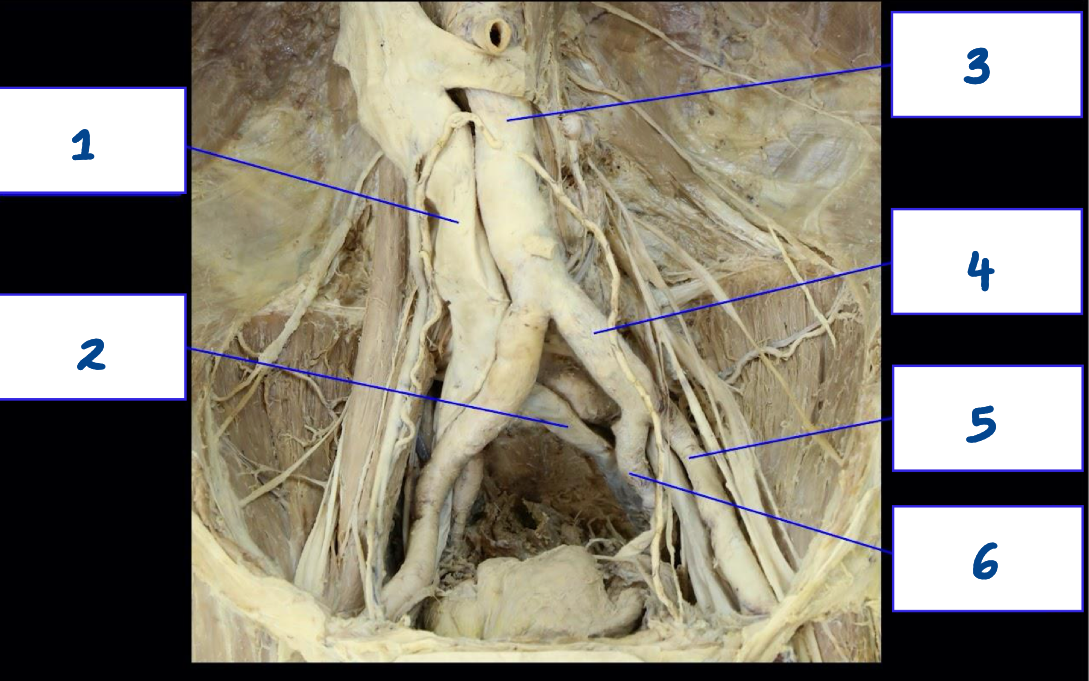 <p>What is structure 6?</p>