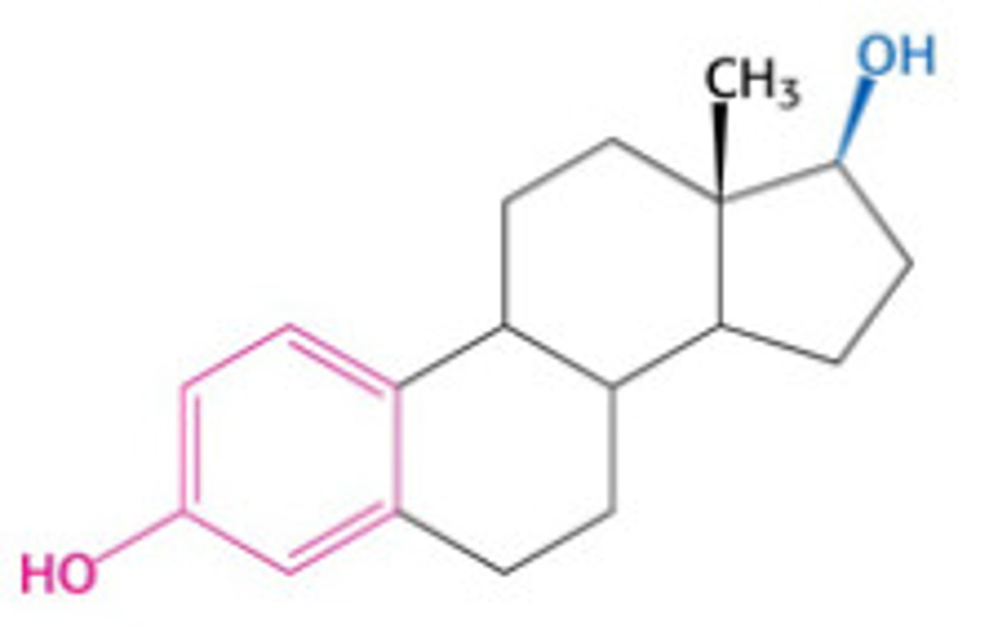 <p>A steroid hormone that stimulates the development and maintenance of the female reproductive system and secondary sex characteristics; the major estrogen in mammals.</p>
