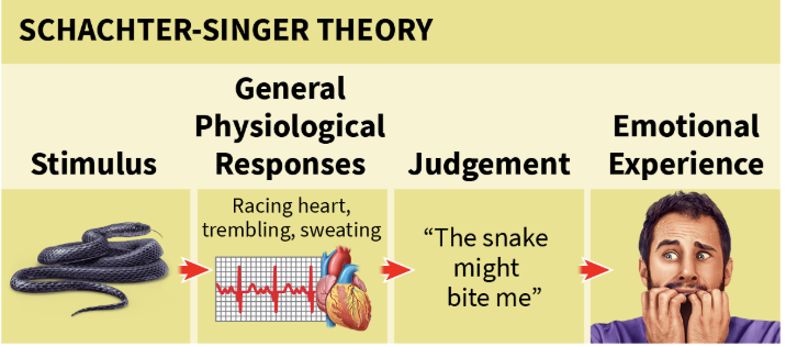 <p>Schachter-Singer Theory</p>