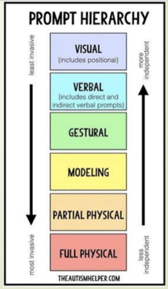 <p>- Visual: Show picture of task</p><p>- Verbal: Continuous prompting during testing</p><p>- Gestural: Pointing towards goal</p><p>- Modeling: Demonstration</p><p>- Physical: Hands-on guidance</p>
