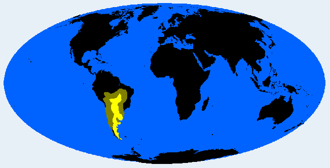 <p>Patagonid</p>