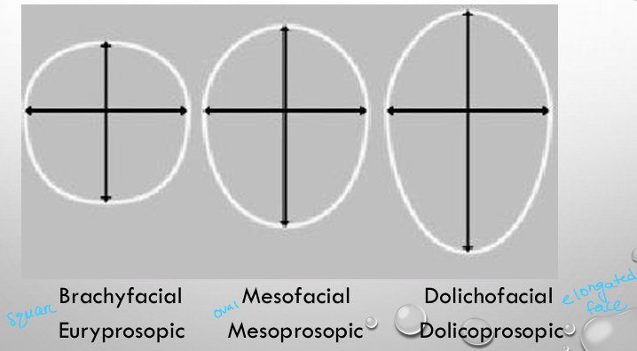 <p>-transverse plane- use the frontal photos</p>