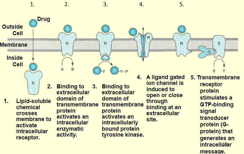 <p>what does the graphic describe</p>