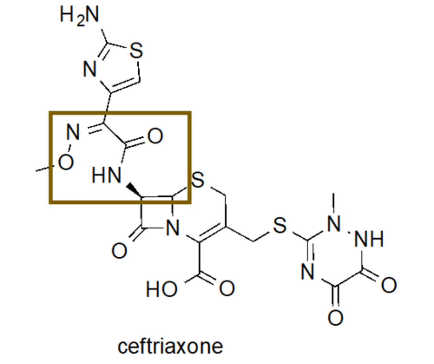 <p>Beta-lactam fused to 6-sided ring</p>