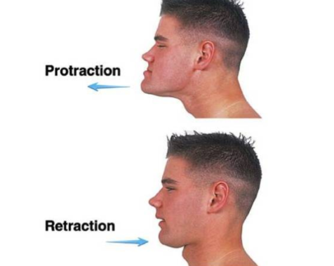 <p>Protraction: moving in an anterior (forward) direction</p><p>Retraction: moving in a posterior (backwards) direction</p>