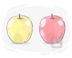 <p>相似的相像的</p>