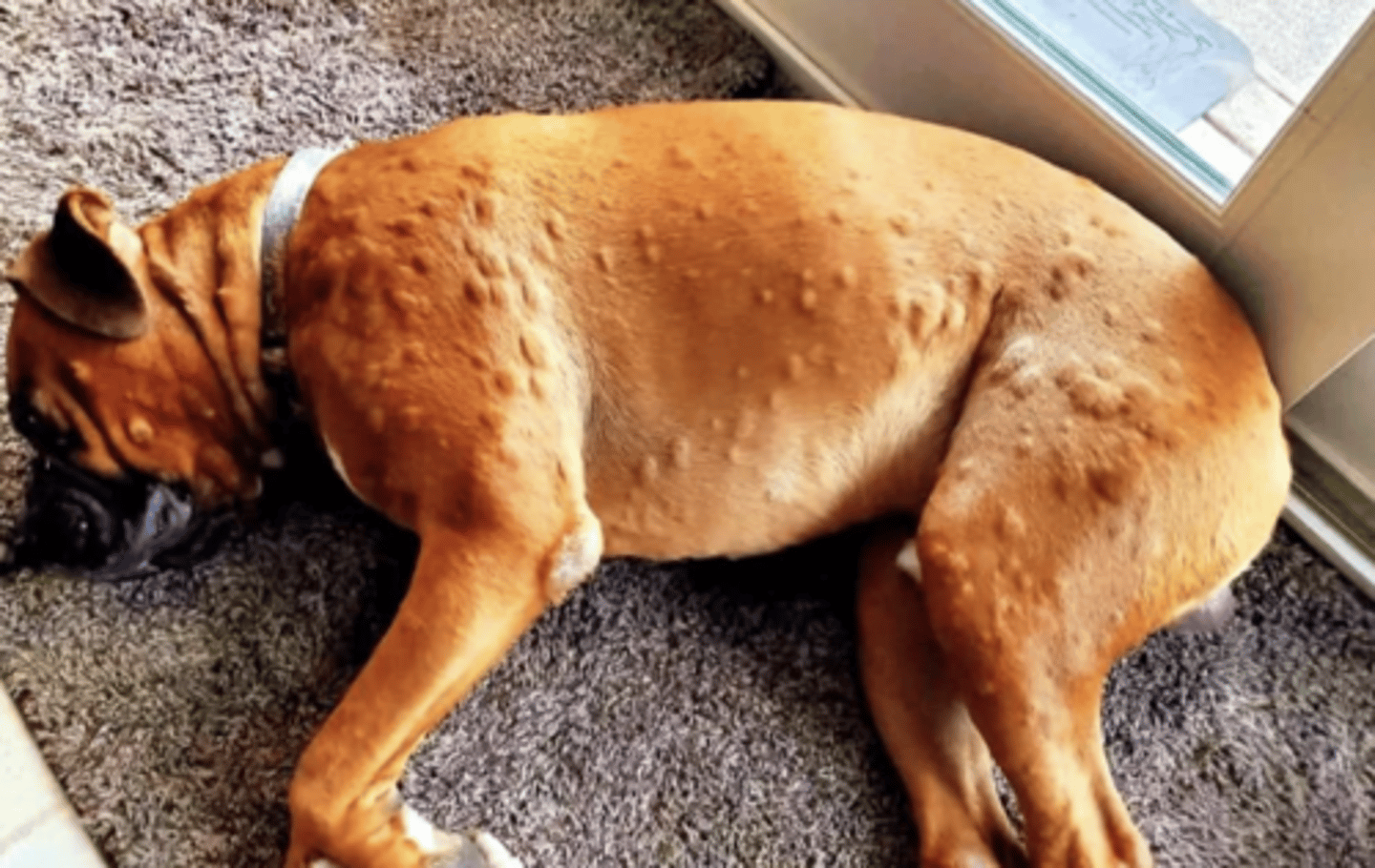 <p>what is this called?</p>