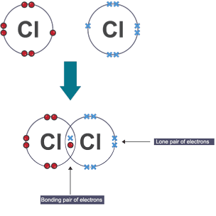 <p>formed by shared pair of electrons between non-metals, neutral charge</p>
