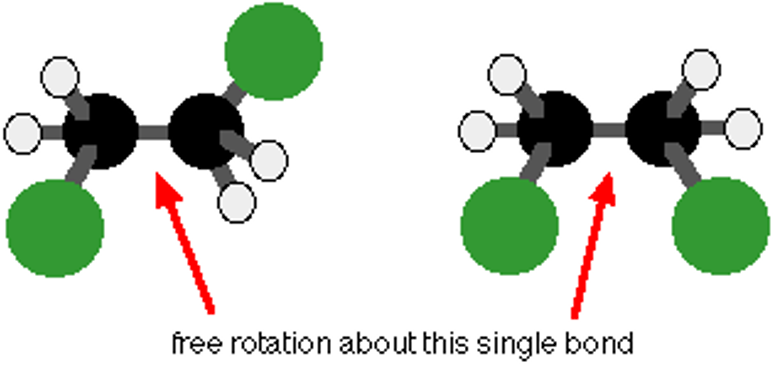 <p>carbon-carbon single bonds can rotate but covalent bonds cannot</p>