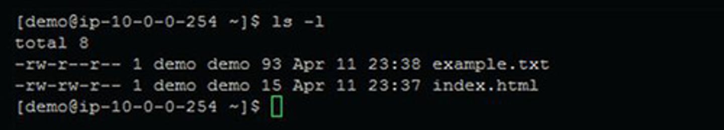 <p>Authorization. The permissions granted on files in Linux designate what authorized users can do with those files—read, write, or execute. In the image shown, all users can read, write, and execute index.html, whereas the owner can read, write, and execute example.txt, the group cannot, and everyone can write and execute it.</p>