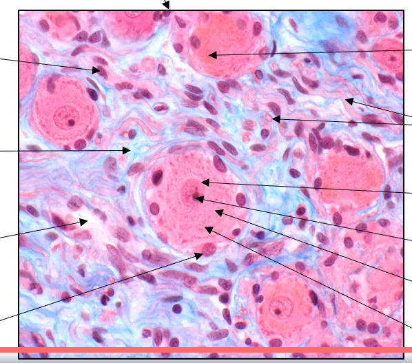 <p>qu’est-ce que c’est</p>