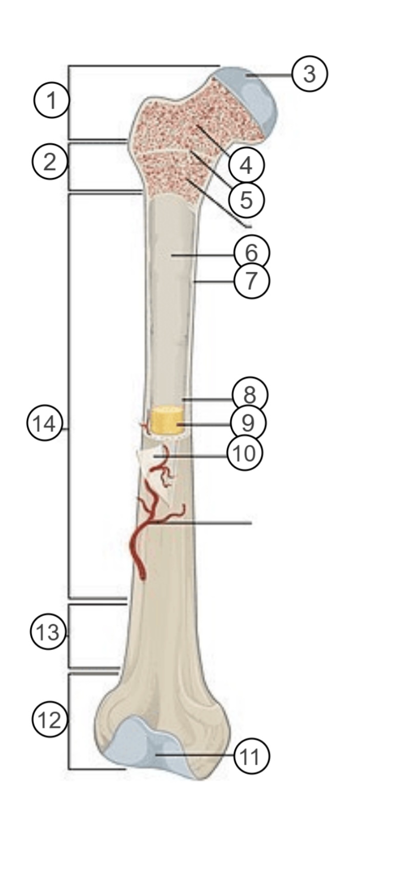 <p>6</p>