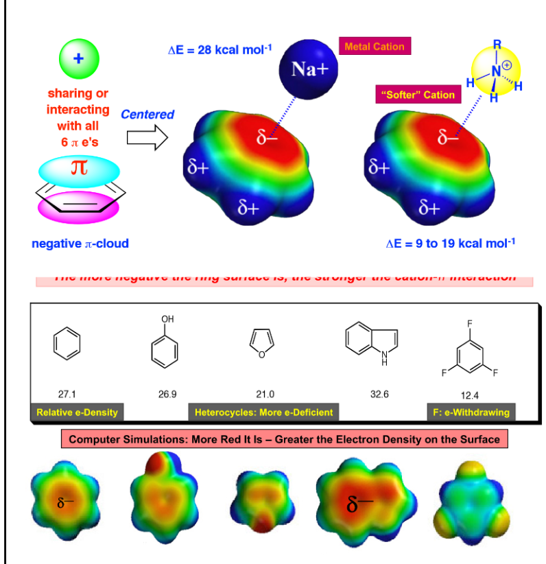 <p>•Non covalent interaction between the face of an electron rich pi system (ex benzene) and a nearby hard metal cation or an ammonium cation</p><p></p><p>•The more negative the ring surface is the stronger the cation pi interaction</p>