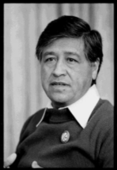 <p>César Chávez (1927 - 1993)</p>
