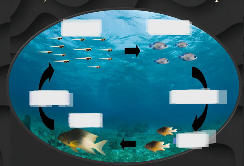 <p>Starting from top left, name everything. </p>