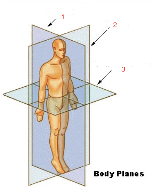 <p>What plane is indicated by 1?</p>