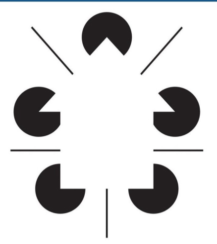 <ul><li><p>A sudden stop in an edge</p></li><li><p>Illusory contours:</p><ul><li><p>Kanizsa figures</p></li></ul></li><li><p>Visual interpretation of several “aligned” end stopping</p><ul><li><p>that’s no coincidence there must be an occluding contour!</p></li></ul></li></ul><p></p>