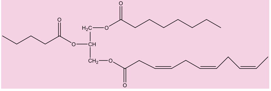 <ul><li><p><span>glycerol is the backbone of a triglyceride (have 3 fatty acids); not water soluble- won’t go through blood easily; very lipophilic (want to clump together); simple lipids</span></p></li></ul><p></p>