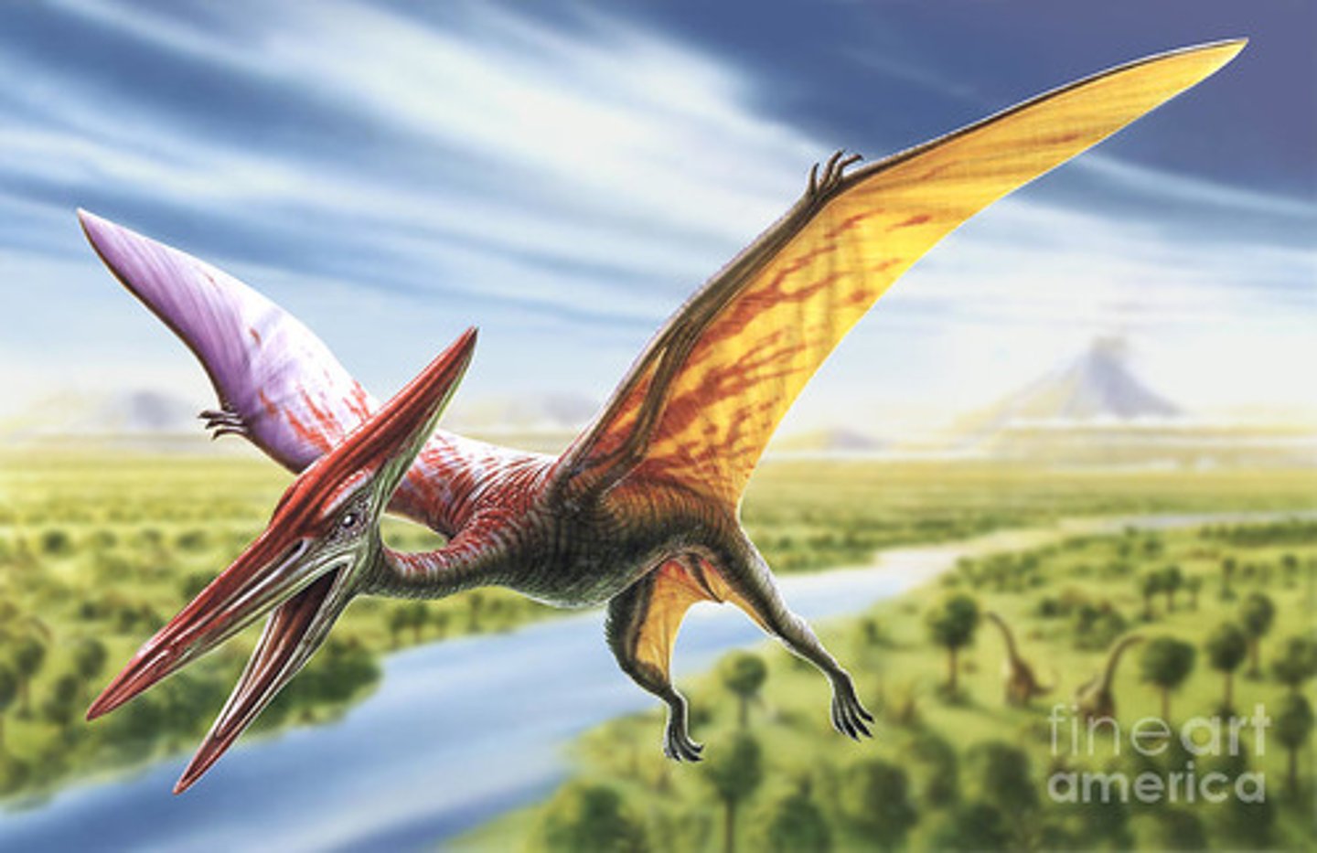 <p>these creature were the first to evolve flight</p><p>-however, they are not a dinosaur</p>
