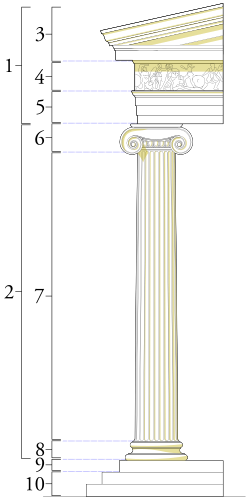 <p>slender, fluted columns, base, capital with volutes</p>
