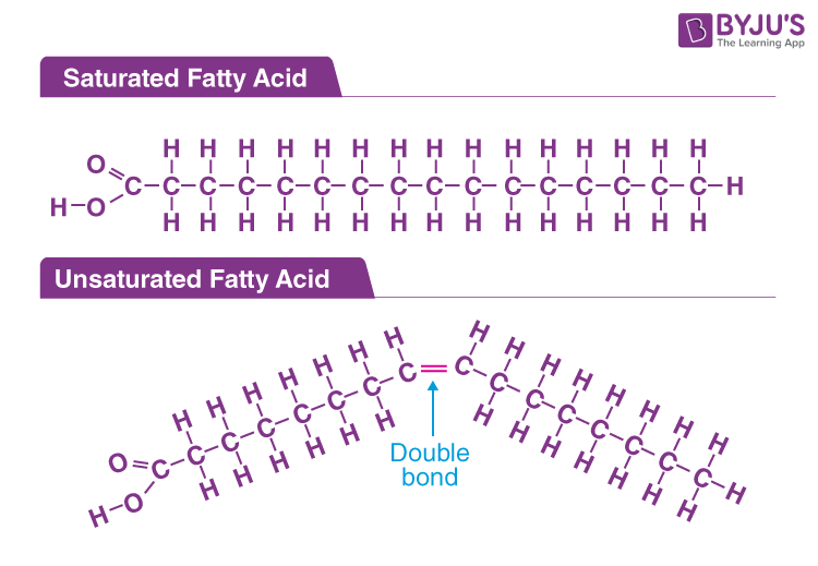 <p>hydrocarbon chain ending in a carboxyl group</p>