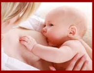 <p>Rooting reflex</p>