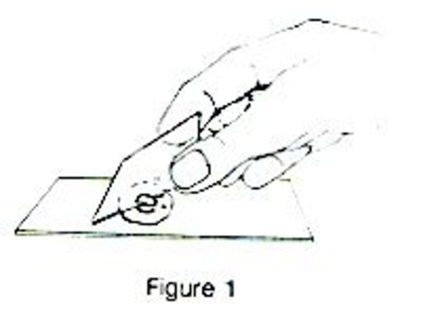 <p><span><strong>Step 1:</strong> Slice thin sample and place on slide ​</span></p><p class="Paragraph WhiteSpaceCollapse SCXP85347330 BCX8" style="text-align: left"><span><strong>Step 2:</strong> Add a drop of iodine solution to stain the cell ​</span></p><p class="Paragraph WhiteSpaceCollapse SCXP85347330 BCX8" style="text-align: left"><span><strong>Step 3: </strong>Lower a coverslip gently on the slide ​</span></p><p class="Paragraph WhiteSpaceCollapse SCXP85347330 BCX8" style="text-align: left"><span><strong>Step 4:</strong> Soak up any excess stain with paper towel ​</span></p>