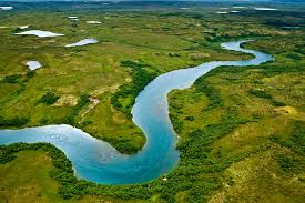 <p>a natural stream of <strong>FRESH, FLOWING</strong> water</p>