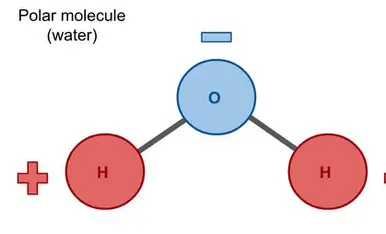 <p>water is polar so it will not dissolve non polar molecules, it will create 2 separate layers of insoluble fats or oils </p>