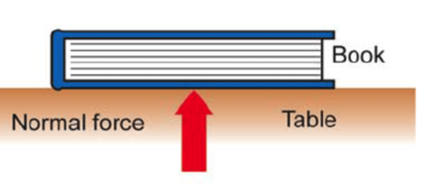 <p>the upward force that balances the weight of an object on a surface</p>