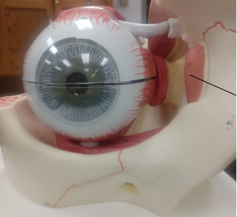 <p>What is this?</p>