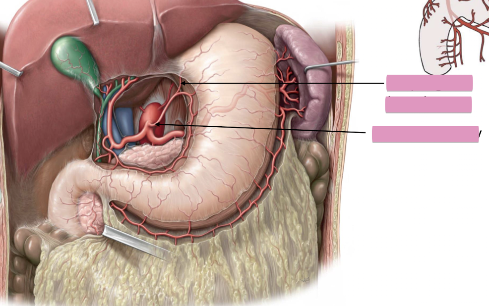 <p>Fill in the blank </p>