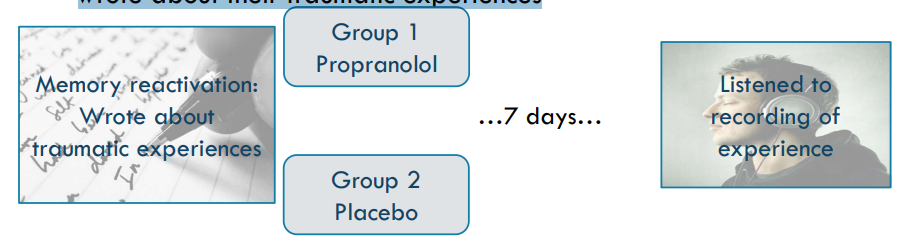 <p>Drugs in patient studies: Brunet et al (2008): Post-traumatic stress disorder (PTSD) patients wrote about their traumatic experiences</p><p>Patients given propranolol had lower heart rate and skin conductance measures than those given placebo.</p><p>CON= there was no group with drug+NO memory reactivation so cannot conclude that reactivation led to memory disruption</p><p>Also did not measure physiology before and did test px on their memory again</p>