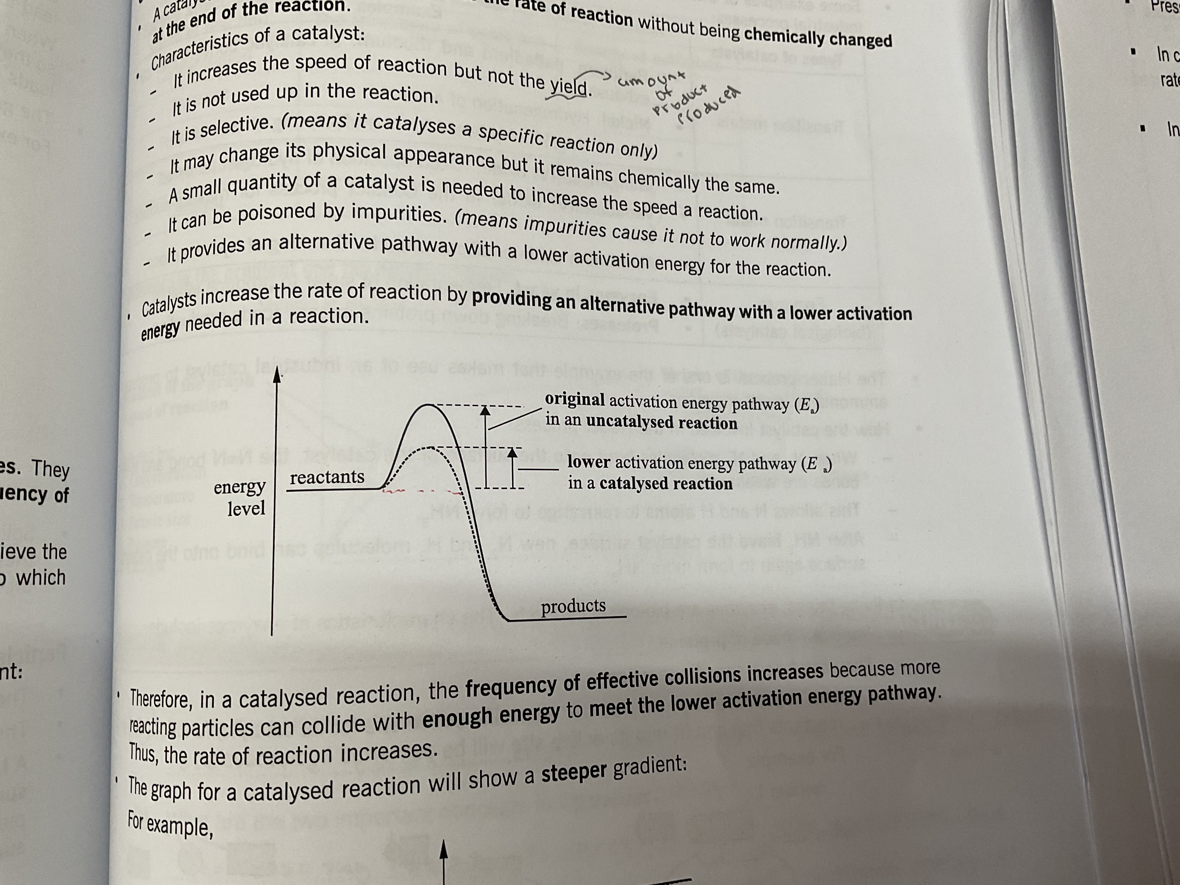 <p>Catalyst</p>
