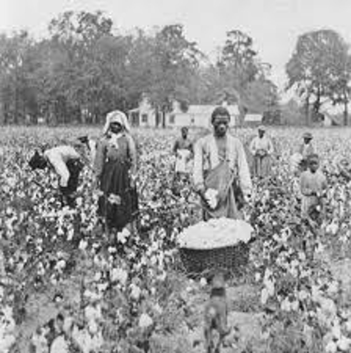 <p>a system used on southern farms after the civil war in which farmers worked land owned by someone else in return for a small portion of the crops.</p>