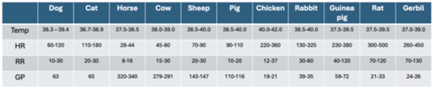 <p>10 - 20 bpm in sows</p><p>24 - 36 bpm in piglets</p>