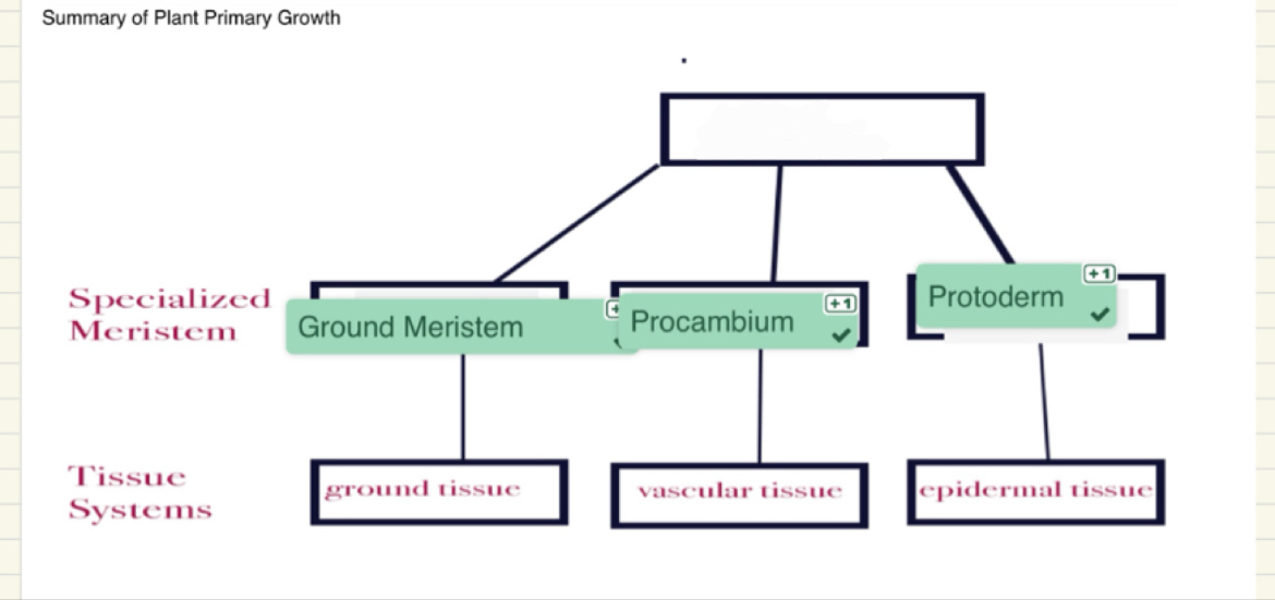 <p>What term is missing here?</p>