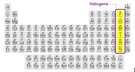<p>-1</p><p>Very reactive nonmetals</p>