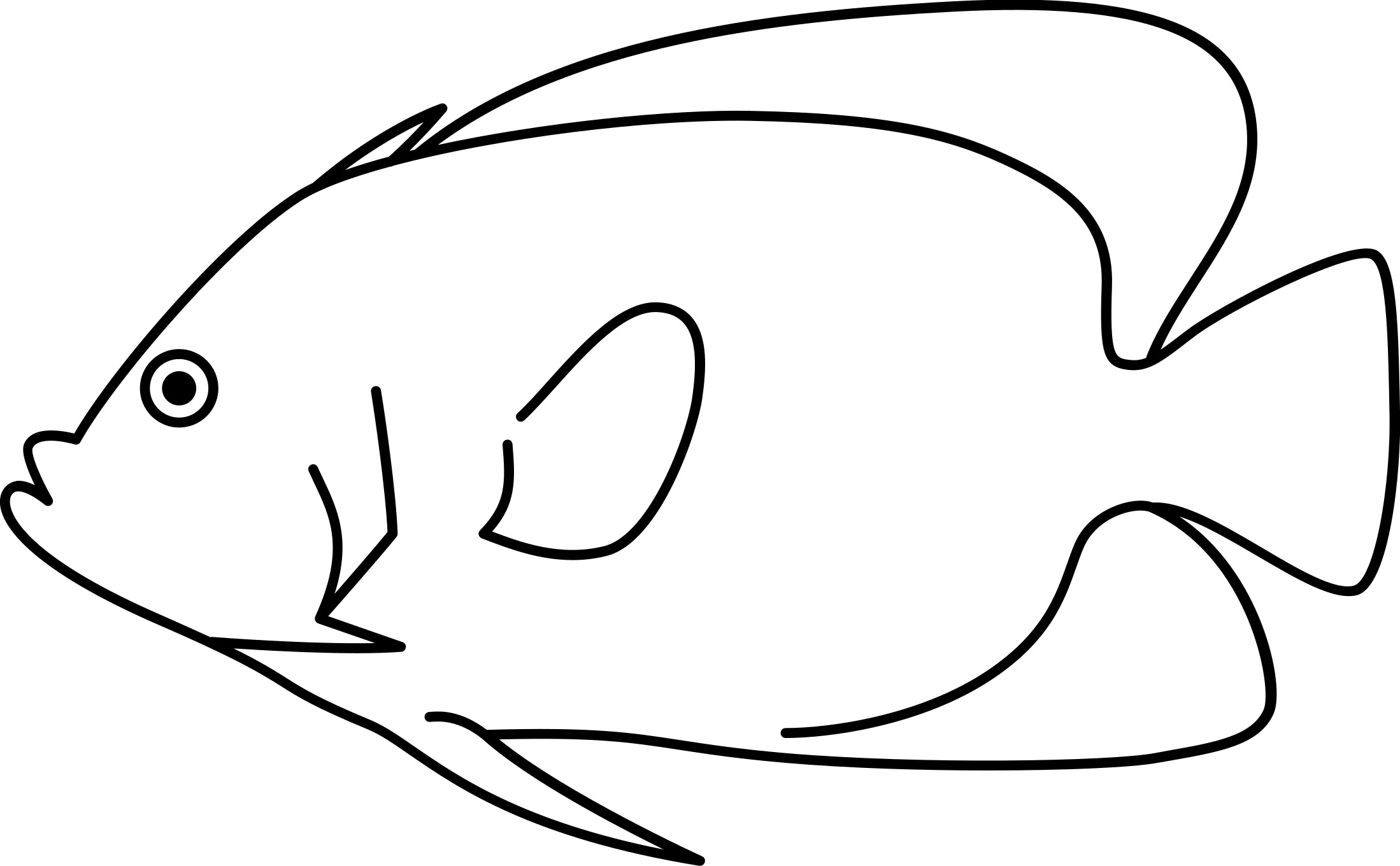 <p>Gill spine<br>Size: 25 cm</p>