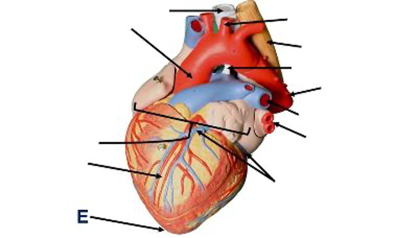 <p>What is this?</p>