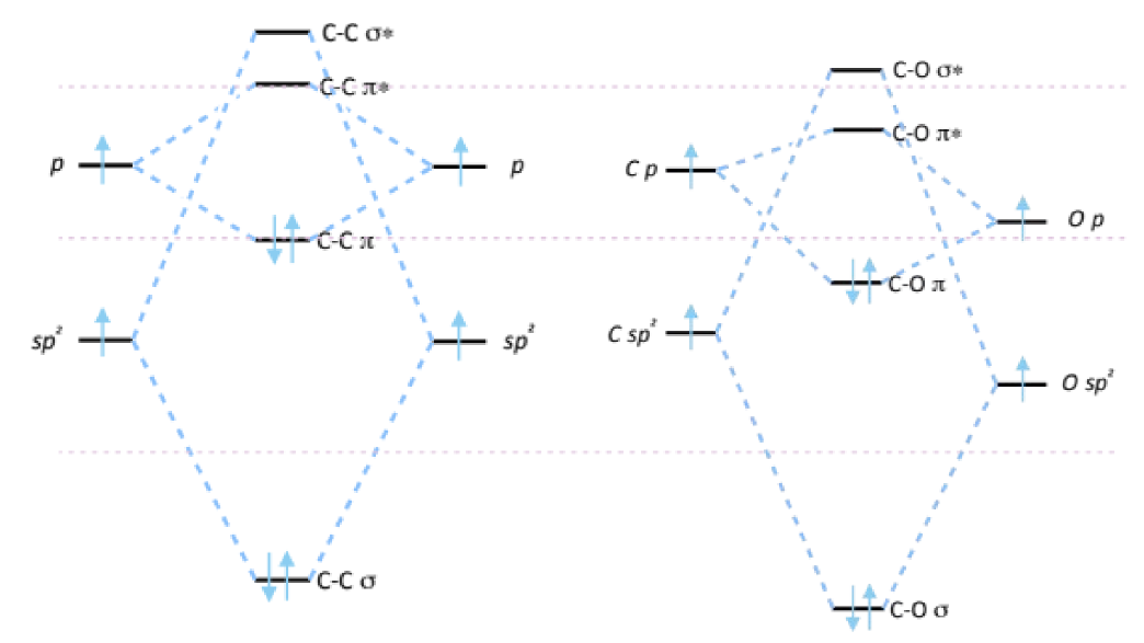 <ul><li><p>O orbitals lower in energy (more electronegative)</p></li><li><p>the C-O MOs are lower in energy - carbonyls are not nucleophilic as nucleophiles have high-lying HOMOs</p></li><li><p>the HOMOs in C-O are the oxygen lone pairs</p></li><li><p>the LUMOs are quite low-lying making carbonyls electrophilic</p></li><li><p>the π orbital is polarised towards O as O is more electronegative. this means the π MO is closer in energy to O than C and the electrons in this bond lie closer to O.</p></li><li><p>the π* orbital lies closer in energy to C</p></li></ul><p></p>