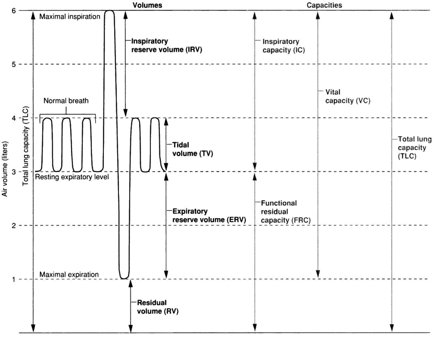 <p>forced expiratory volume - how much you exhale over a second </p>