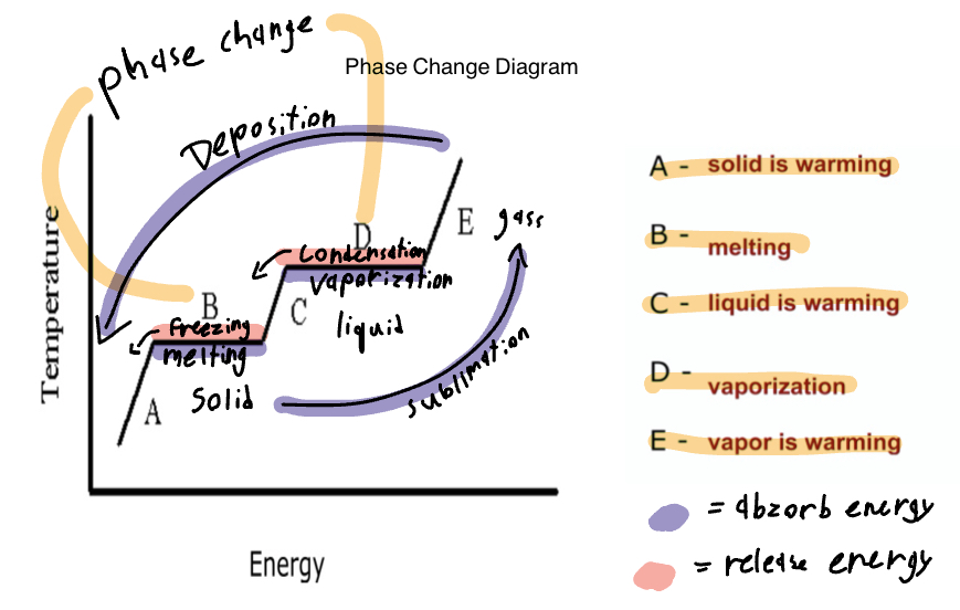 <p>A-solid is warming, B-melting, C-liquid is warming, D-vaporization, E-vapor is warming</p>