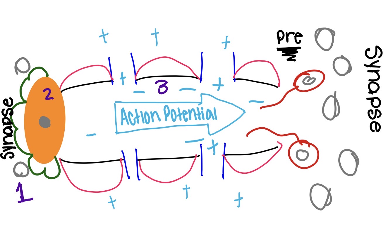 <p>what is the green and what does it do </p>