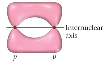 <p>Name the structure:</p>